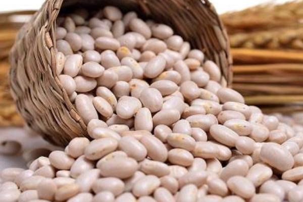 白蕓豆和紅蕓豆的區別是什么 白蕓豆市場價格多少錢一斤