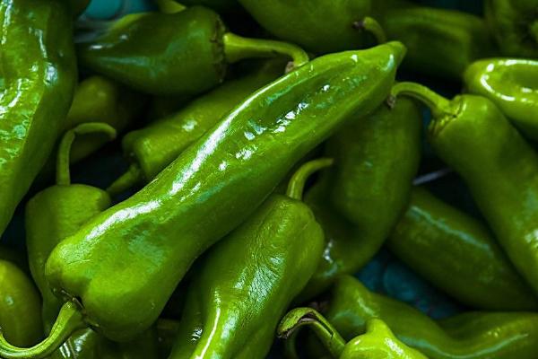 夢見青椒是什么意思 女人夢到好多青椒有什么預(yù)兆