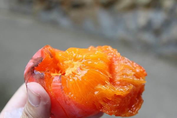 柿子吃了會長胖嗎 柿子的功效與作用