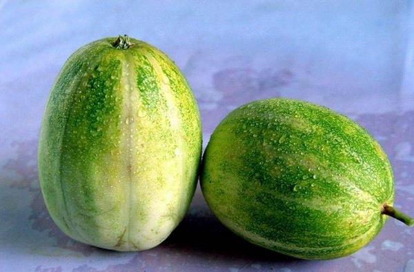 樹香瓜與普通香瓜的區別是什么 香瓜的營養價值