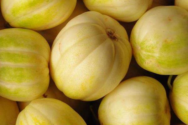 樹香瓜與普通香瓜的區(qū)別是什么 香瓜的營養(yǎng)價值