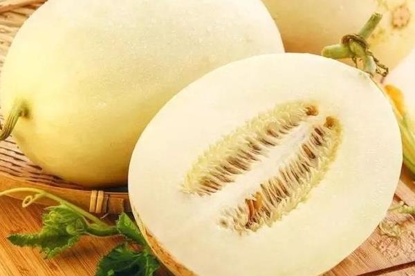 甜瓜新品種有哪些 甜瓜是涼性水果還是熱性水果