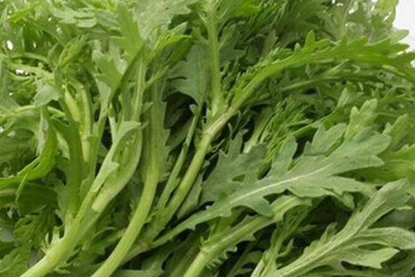 茼蒿菜怎么做好吃 茼蒿的功效與作用