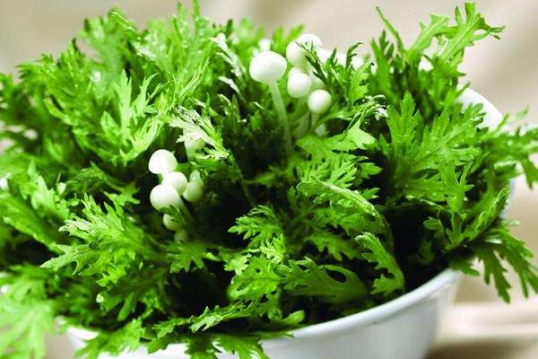 茼蒿菜怎么做好吃 茼蒿的功效與作用