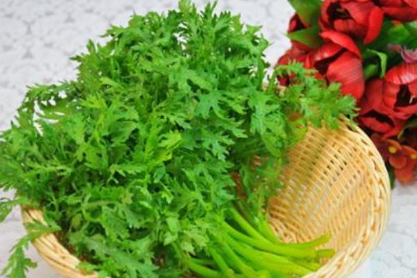 茼蒿菜怎么做好吃 茼蒿的功效與作用