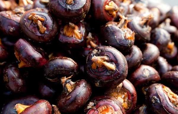 馬蹄果的功效與作用及禁忌 馬蹄果如何去皮