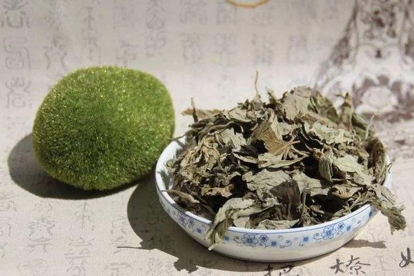 干艾葉市場(chǎng)價(jià)格多少錢一斤 干艾葉怎么保存