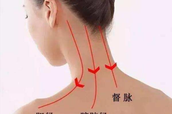 頸椎病刮痧有用嗎 頸椎病刮痧刮哪里