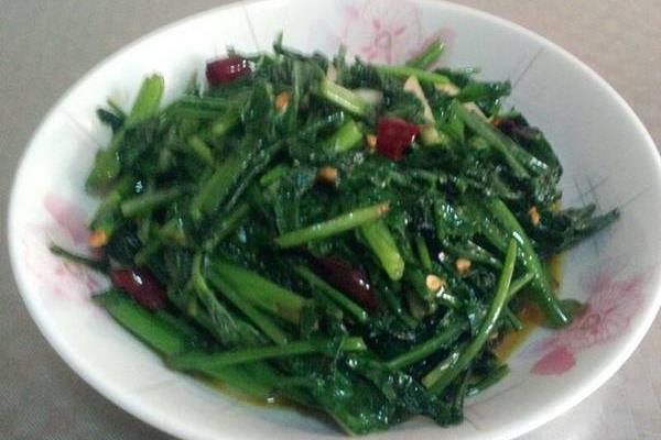 二月蘭可以吃嗎 二月蘭怎么吃