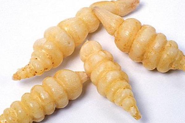 甘露子怎么做好吃 甘露子可以涼拌吃嗎