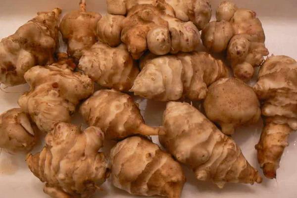 菊芋什么時候開花 菊芋花期是幾月