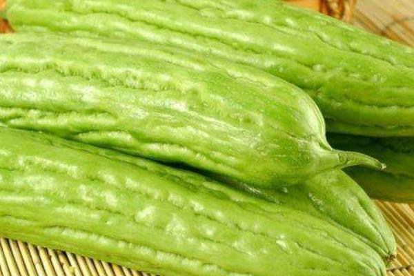 苦瓜價格多少錢一斤 苦瓜市場怎么樣