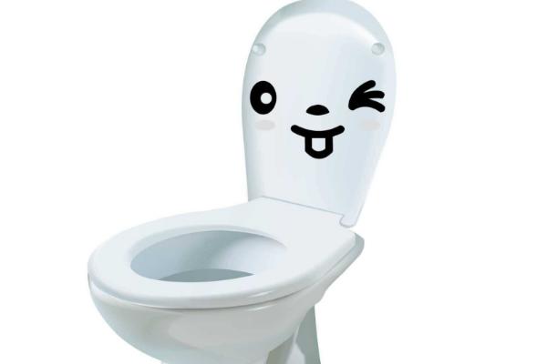 夢見馬桶堵了糞便溢出是什么意思 夢到馬桶堵了水溢出來有什么預兆