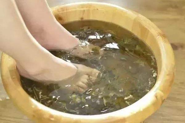 艾葉泡腳有什么好處 艾葉泡腳能治風濕嗎