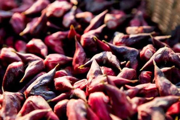 菱角圖片大全 菱角有幾種 菱角是什么