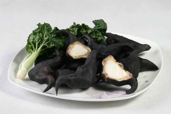 孕婦能吃菱角嗎 菱角發芽能吃嗎