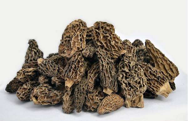 干羊肚菌市場價格多少錢一斤 干羊肚菌要泡多久