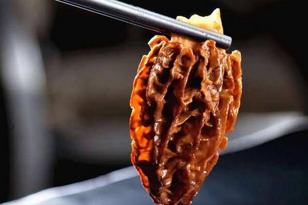 干羊肚菌市場價格多少錢一斤 干羊肚菌要泡多久