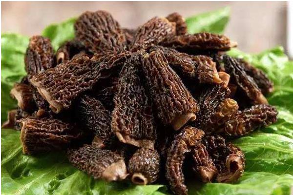 干羊肚菌市場價格多少錢一斤 干羊肚菌要泡多久