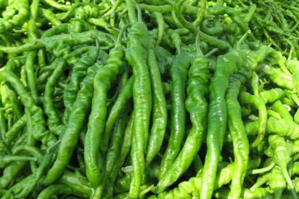 航椒4號畝產多少斤 航椒4號特點