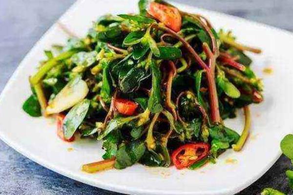 馬齒莧怎么做好吃又簡單 馬齒莧家常做法大全