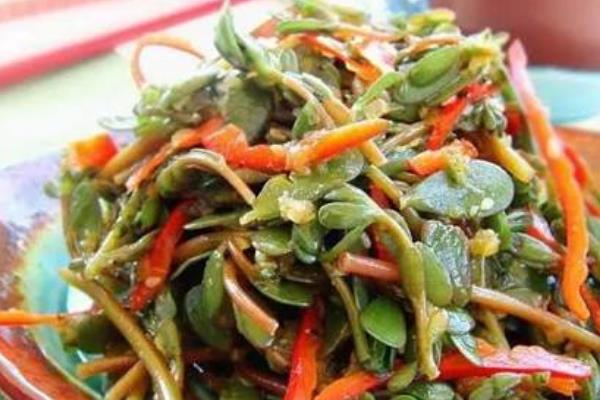 馬齒莧怎么做好吃又簡單 馬齒莧家常做法大全