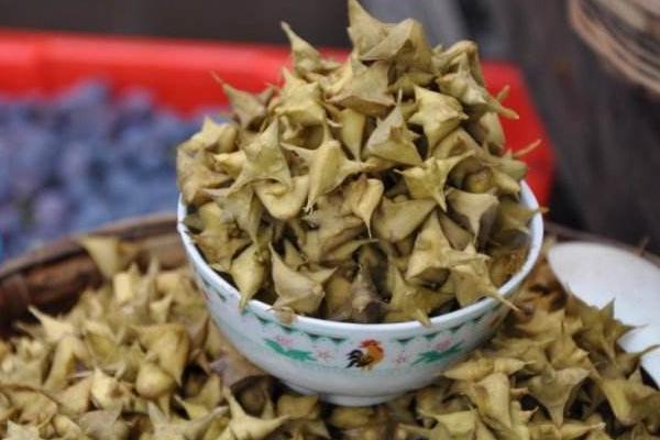 刺菱角功效與作用 刺菱角怎么吃