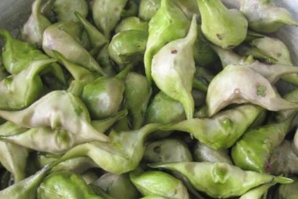 菱角怎么保存 干菱角米怎么泡發