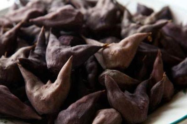 菱角怎么保存 干菱角米怎么泡發