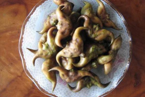 菱角市場價格多少錢一斤 菱角和什么一起吃最好