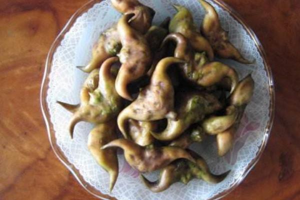 菱角怎么種植（播種時間） 菱角種子怎么保存