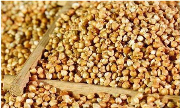 蕎麥是什么東西 蕎麥有幾種