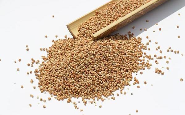 蕎麥是什么東西 蕎麥有幾種