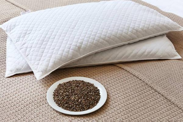 蕎麥枕頭市場價格多少錢一個 蕎麥枕頭不適合什么人
