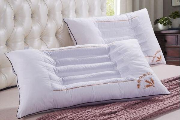 蕎麥枕頭和決明子枕頭哪個好 甜蕎麥枕頭和苦蕎麥枕頭的區別是什么