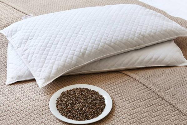 蕎麥枕頭怎么清洗（能洗嗎） 蕎麥枕頭會長蟲嗎