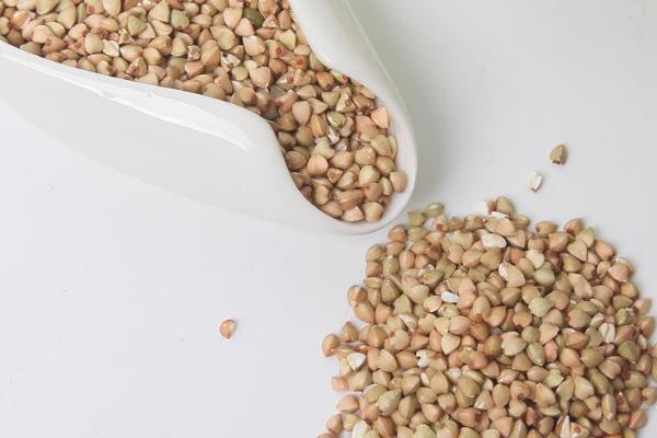 蕎麥市場價格多少錢一斤 蕎麥產地在哪里