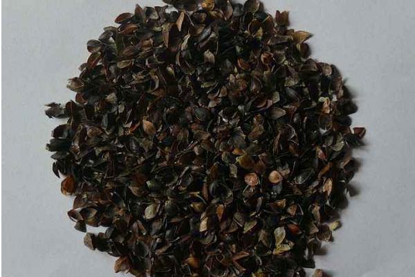 蕎麥皮和蕎麥殼的區(qū)別是什么 枕頭里的蕎麥皮怎么洗