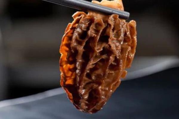 羊肚菌種子市場價格多少錢一斤 羊肚菌菌種哪里有