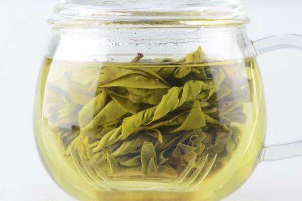 苦丁茶是綠茶嗎 苦丁茶可以放冰糖嗎