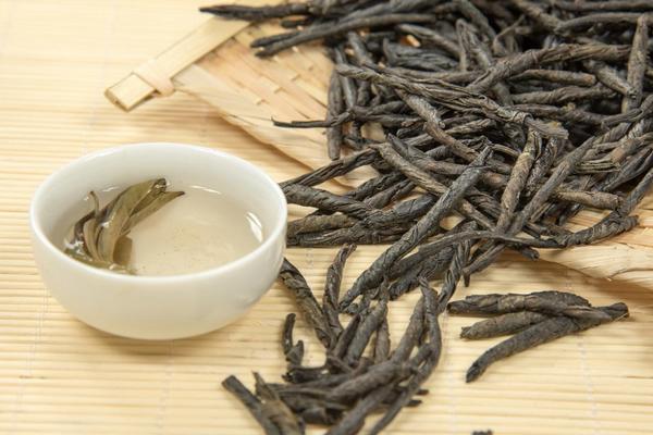 苦丁茶是綠茶嗎 苦丁茶可以放冰糖嗎