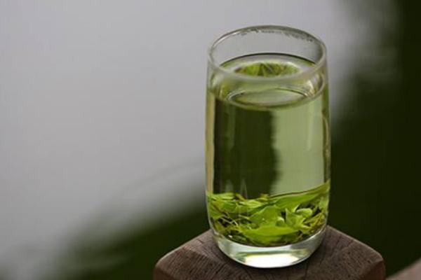 苦丁茶是綠茶嗎 苦丁茶可以放冰糖嗎