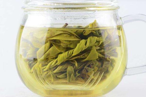 苦丁茶太苦怎么辦 苦丁茶是什么做的