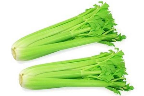 西芹是什么 西芹可以生吃嗎