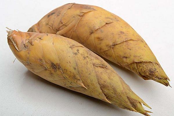 冬筍幾月上市 冬筍怎么處理