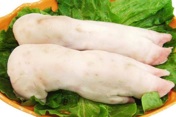 豬肘、豬蹄、豬腳的區別分別是什么 豬蹄的功效作用