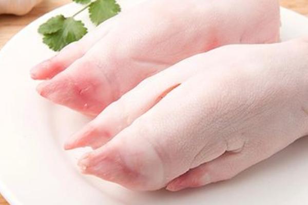 豬蹄前蹄好還是后蹄好 買豬蹄怎么選