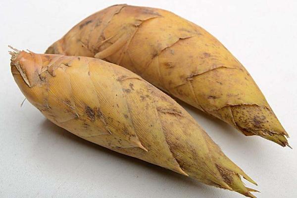 冬筍市場價格多少錢一斤 春筍和冬筍的區別是什么