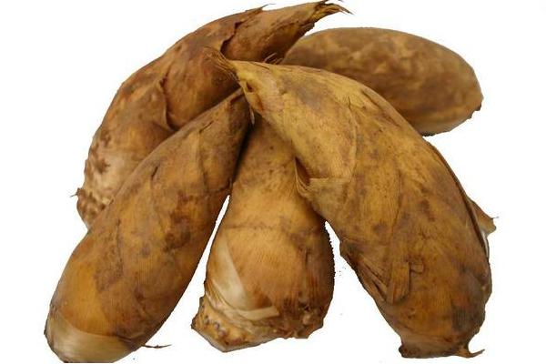 冬筍市場價格多少錢一斤 春筍和冬筍的區別是什么