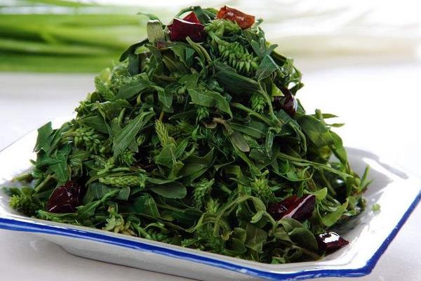 菱角菜的功效與作用 菱角菜的營養價值